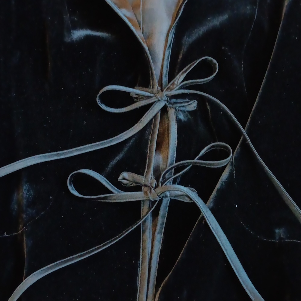 Velvet Jacket - Picture 3 of 8